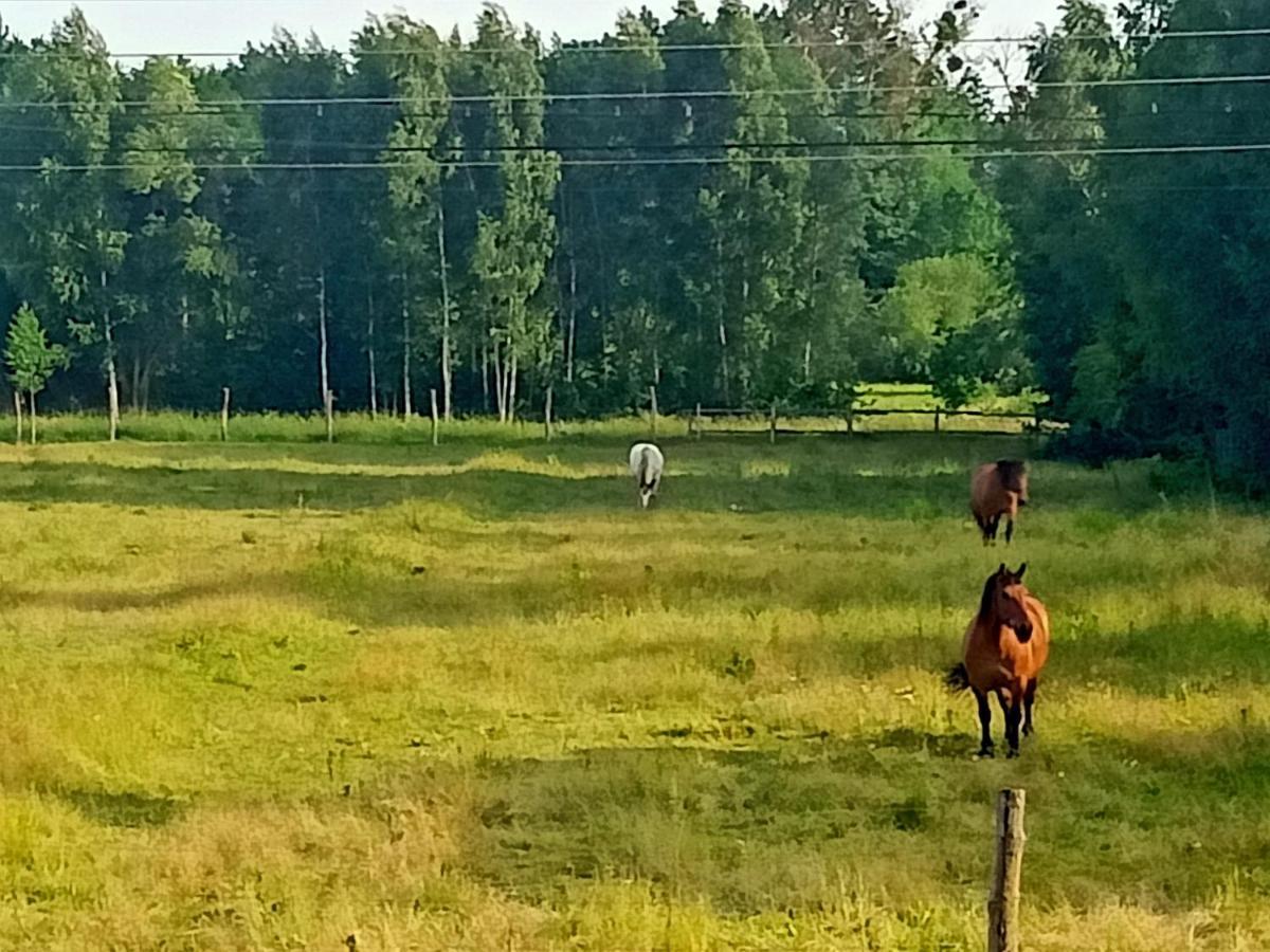 Sosnowa Polana Białowieża Exteriör bild
